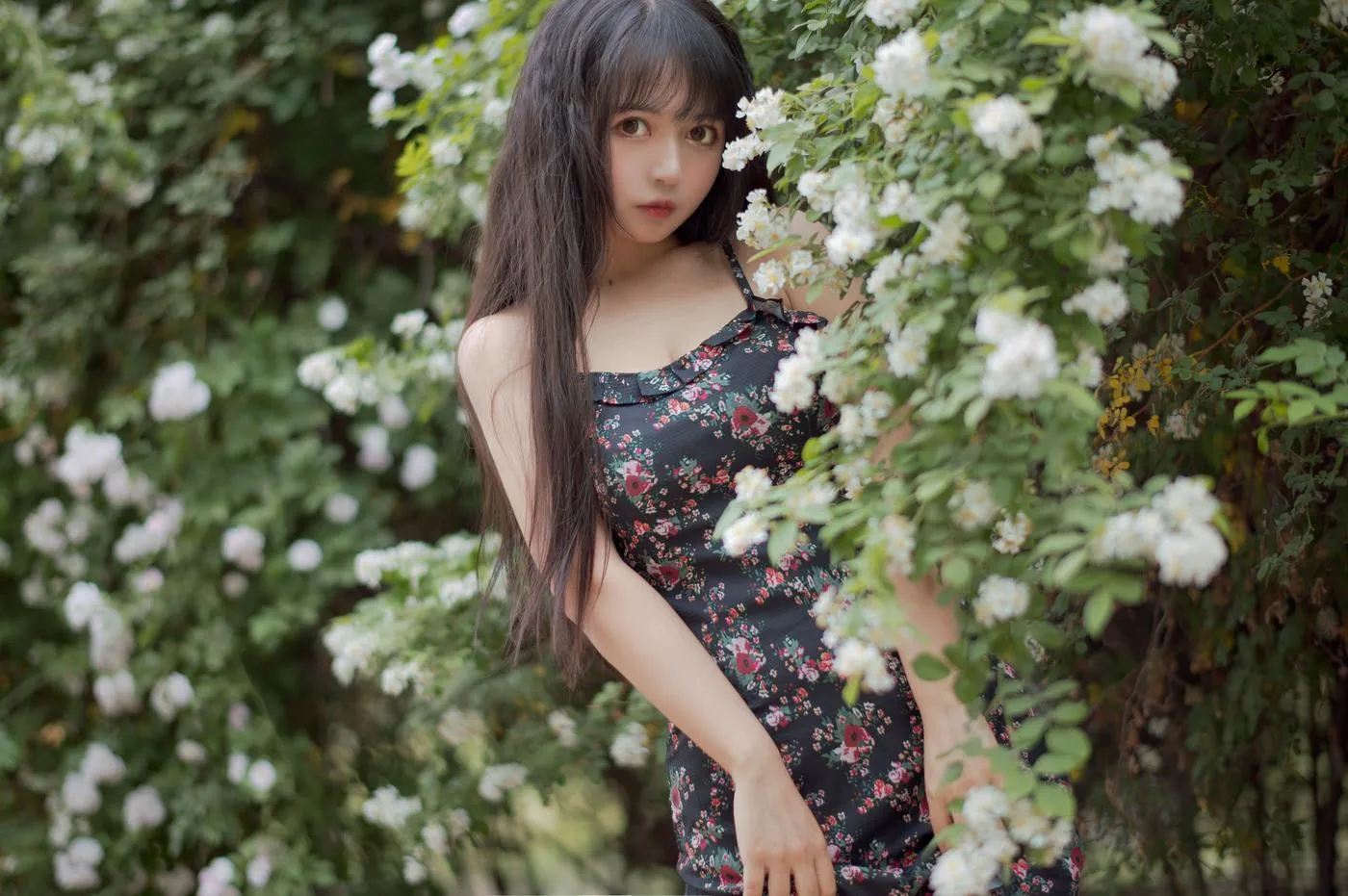 黑猫猫OvO – NO.22 蔷薇1 [22P]插图5
